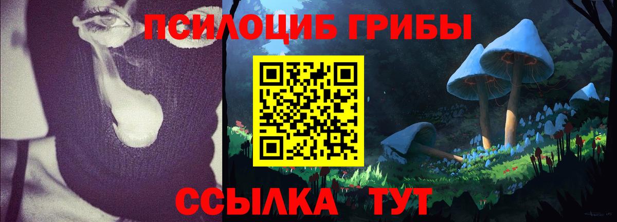 Псилоцибиновые грибы MAGIC MUSHROOMS Новоалександровск