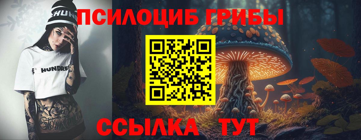 Новоалександровск  Псилоцибиновые грибы мухоморы  Вход с VPN 